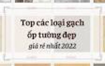 Top các loại gạch ốp tường đẹp giá rẻ nhất 2022