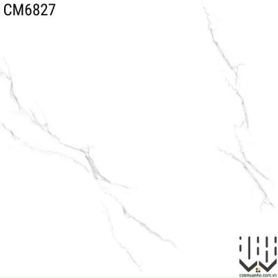 CM6827 60x60 cm